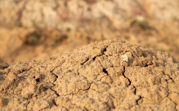 В РУДН создали модель прогнозирующую проседания грунтов в сухих регионах