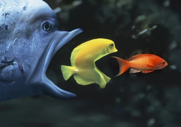 В градостроительном комплексе Москвы продолжаются слияния и поглощения В градостроительном комплексе Москвы продолжаются слияния и поглощения