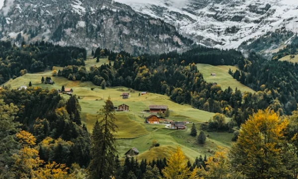 В ежегодном отчете Immo-Monitoring от компании W&uuml;est Partners рассматривается влияние иммиграции на 