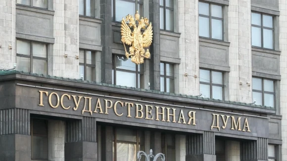 В ГД могут рассмотреть законопроект по ТЭО весной 2026 года