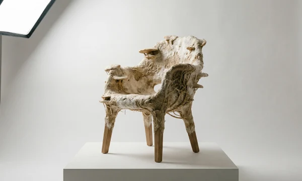 Выращено, а не сделано: почему будущее вашего интерьера &mdash; за грибами и водорослями