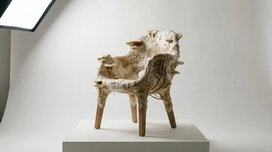 Выращено, а не сделано: почему будущее вашего интерьера — за грибами и водорослями Выращено, а не сделано: почему будущее вашего интерьера — за грибами и водорослями