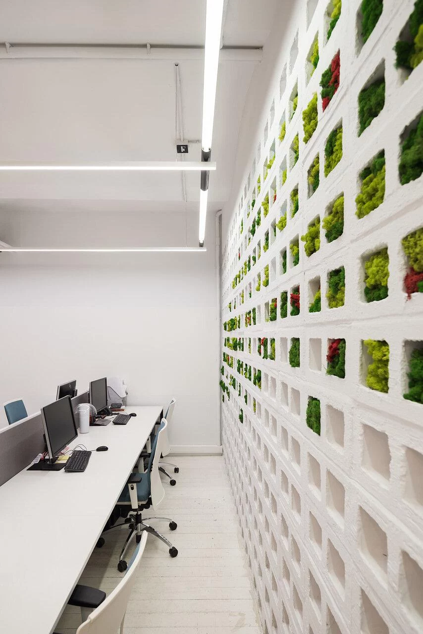 Фото: T+T Architects