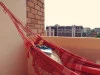 Фото: Supermop/shutterstock